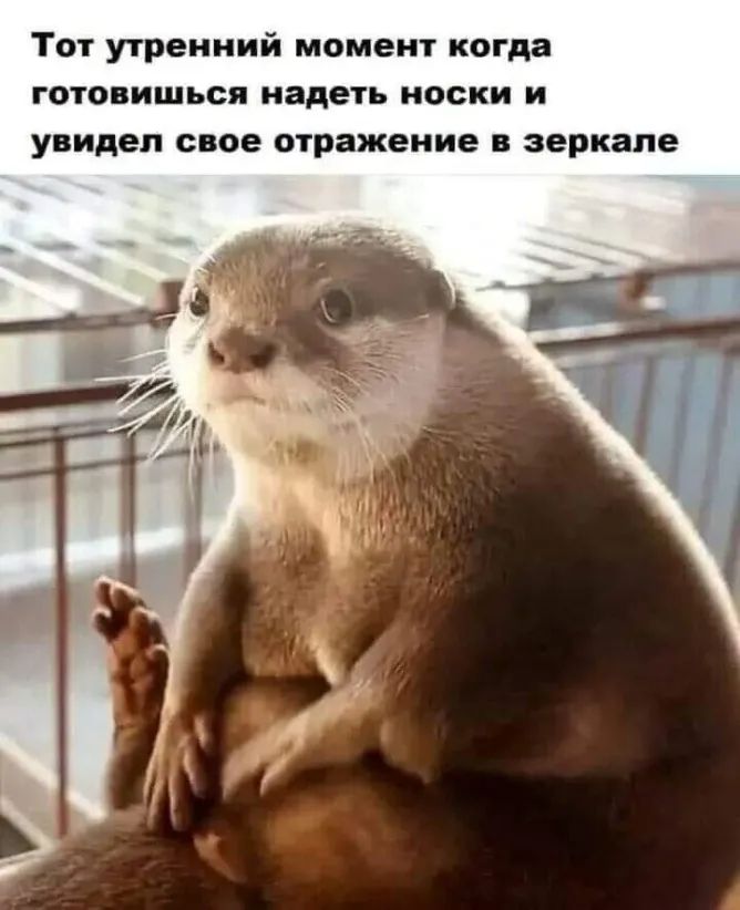 Тот утренний момент когда готовишься надеть носки и увидел свое отражение в зеркале