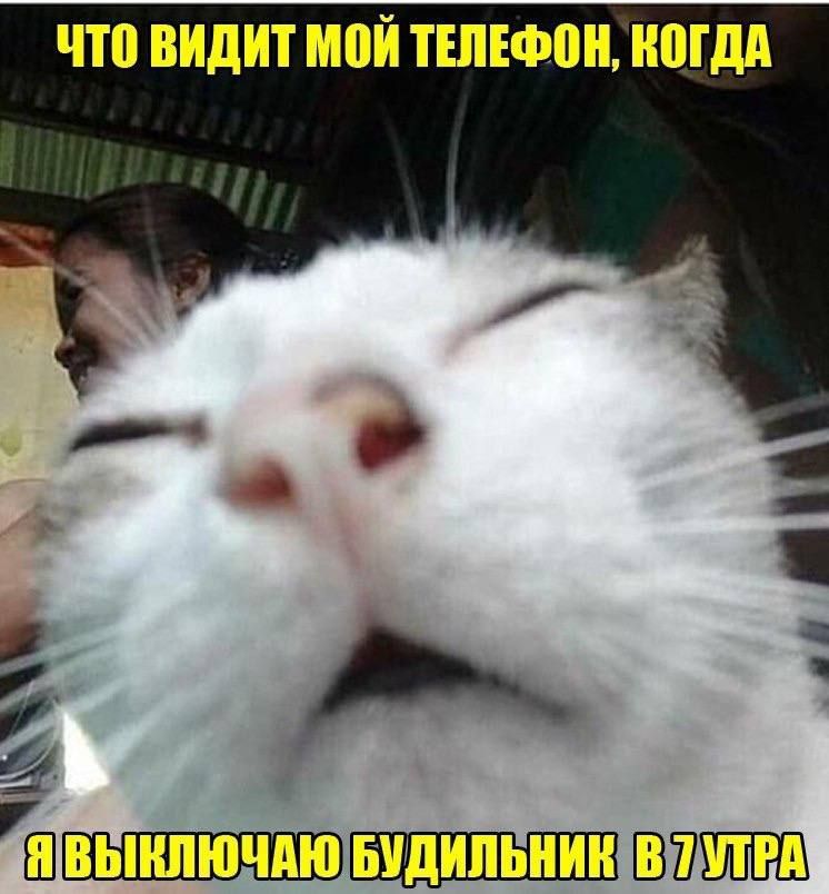 что ВИДИТ ТЕПЕФПН ногдд _ ч ш