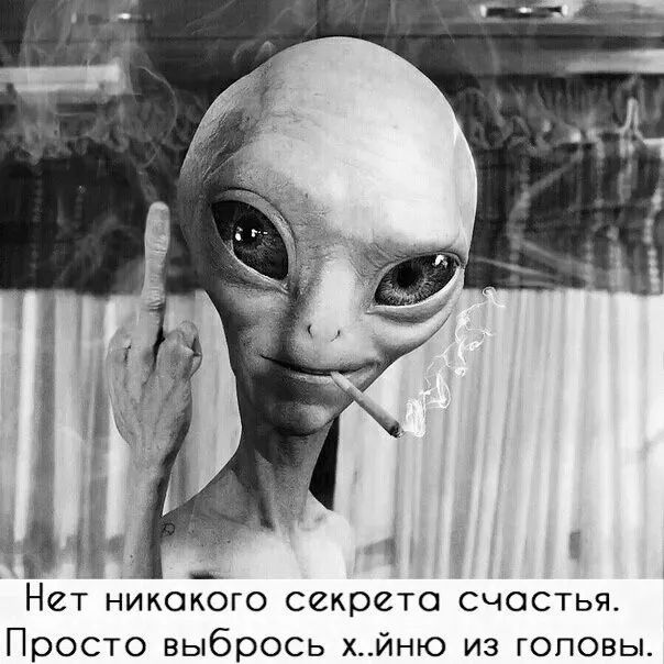 Нет никакого секрета счастья Просто выбрось хйню из головы