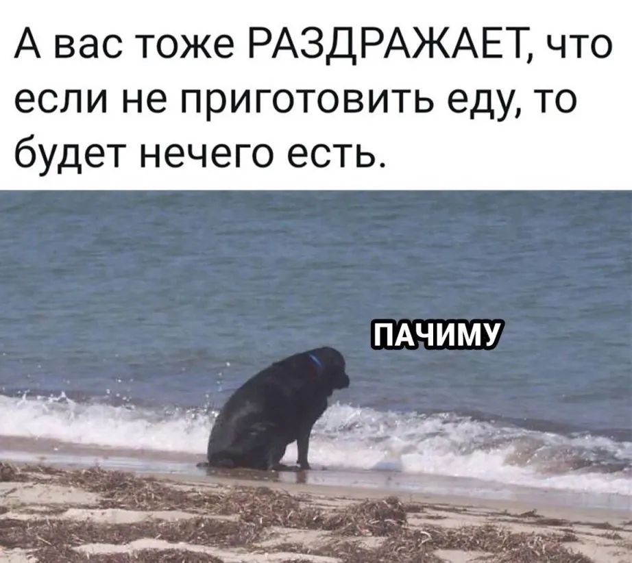 А вас тоже РАЗДРАЖАЕТ что ЕСЛИ не ПРИГОТОВИТЬ еду ТО будет НЭЧЭГО ЕСТЬ ПАЧИМУ