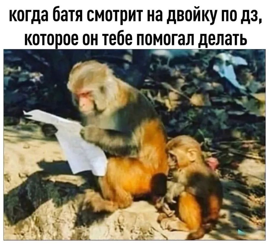 когда батя СМОТРИТ на дВОЙКУ ПО дЗ КОТО 08 он тебе ПОМОГЭЛ делать