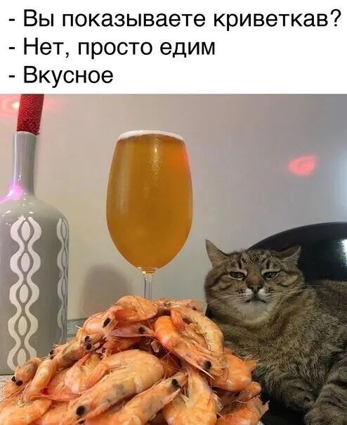 Вы показываете криветкав Нет просто едим Вкусное