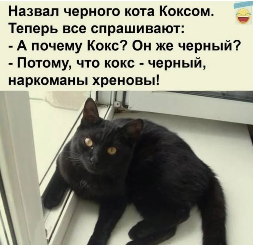 Назвал черного кота Коксом Теперь все спрашивают А почему Кокс Он же черный Потому что кокс черный наркоманы хреновы