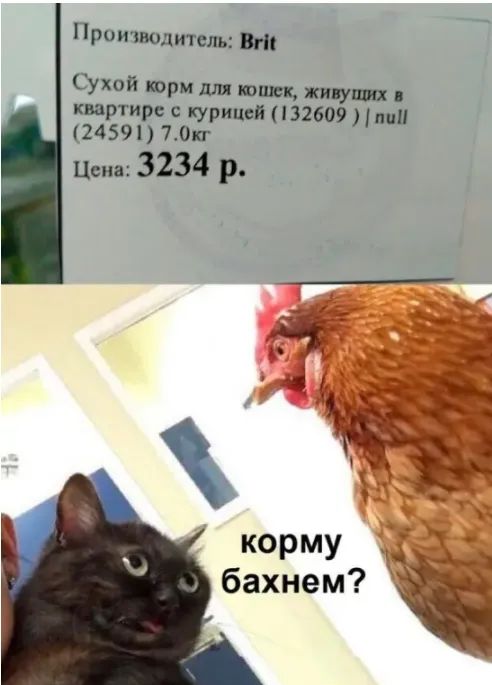 рошюд итель Вг Сухой корм для кэши живущих квартире с курицей 132609 пцп 24591 70кг Цена 3234 р