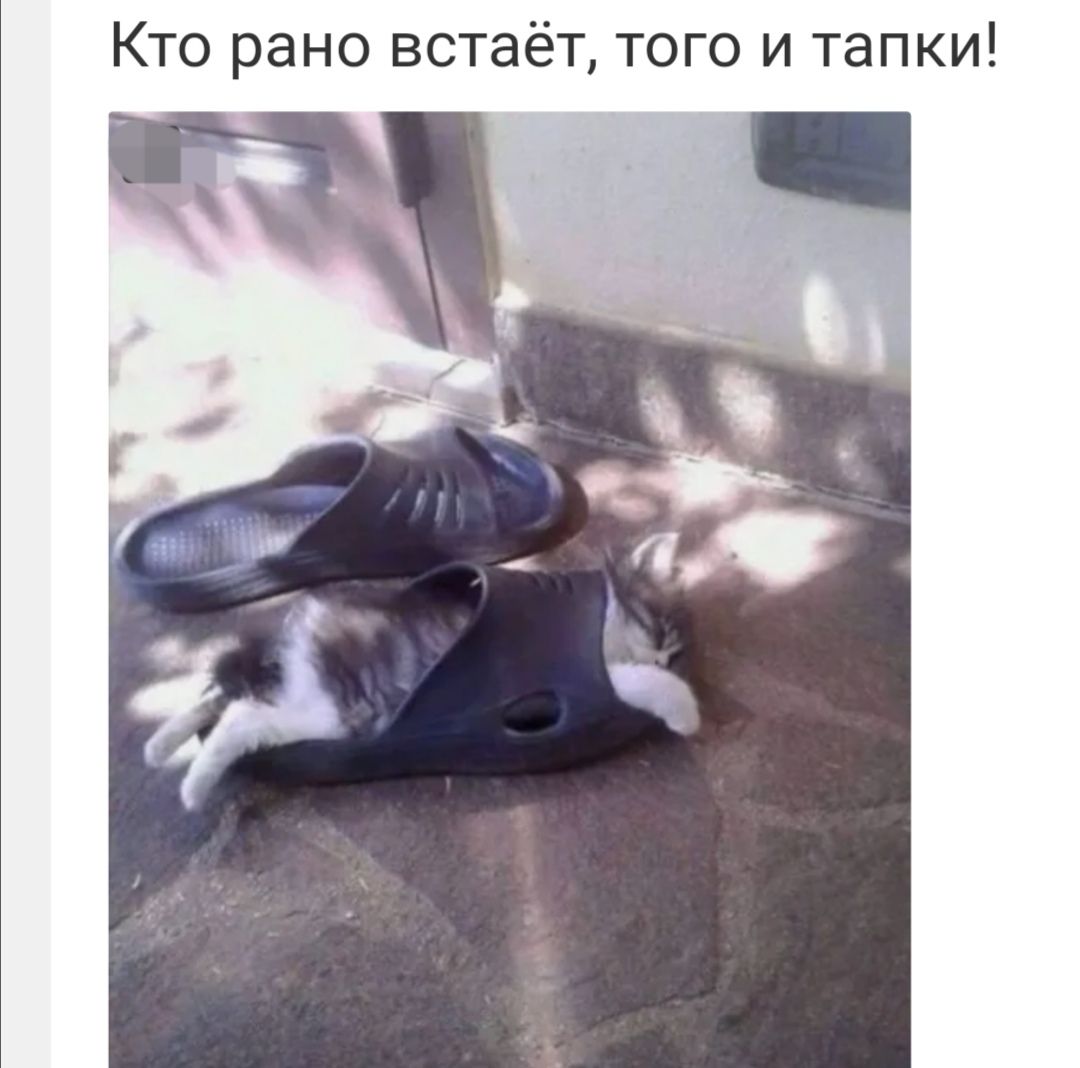 Кто рано встаёт того и тапки