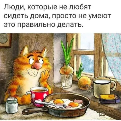Люди которые не любят сидеть дома просто не умеют это правильно делать