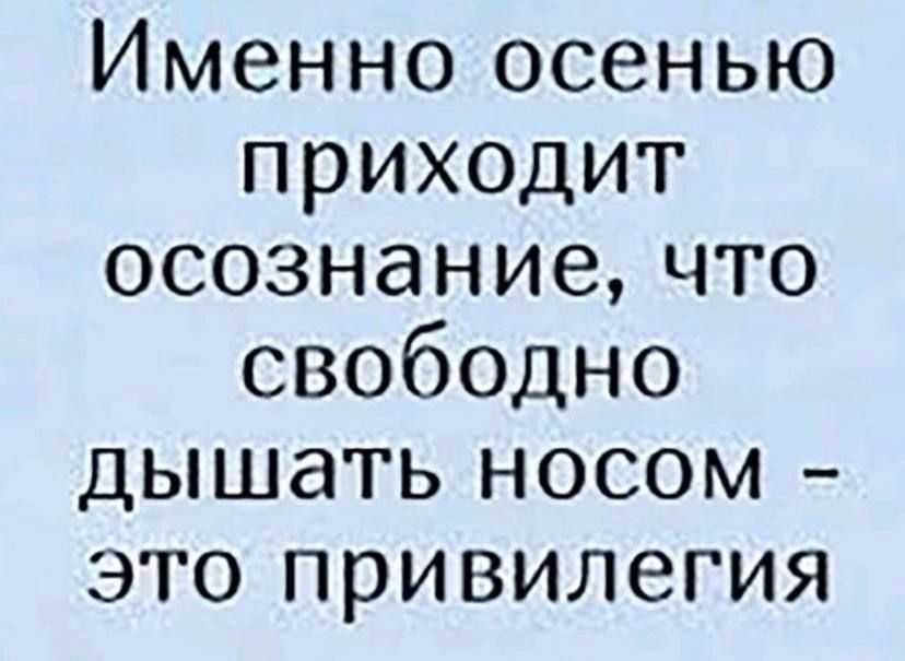 Именно осенью приходит осознаниечто свободно дышать носом это привилегия