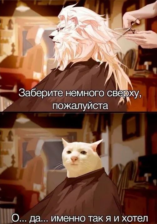 Ц Заберите немного сверху пожалуйста О да ИМЕННО так Я И хотел