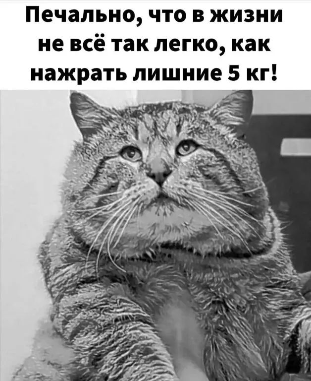Печально что в жизни не всё так легко как нажрать лишние 5 кг