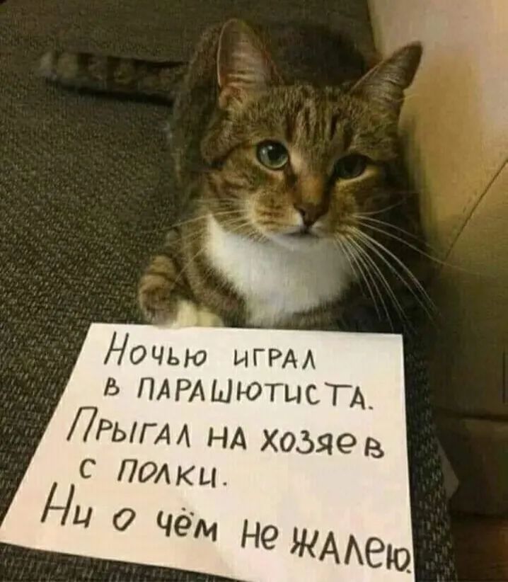 Ночью ИГРА Ь ПАРАЫЮТЦСТА 7РЫГАА НА хозяев