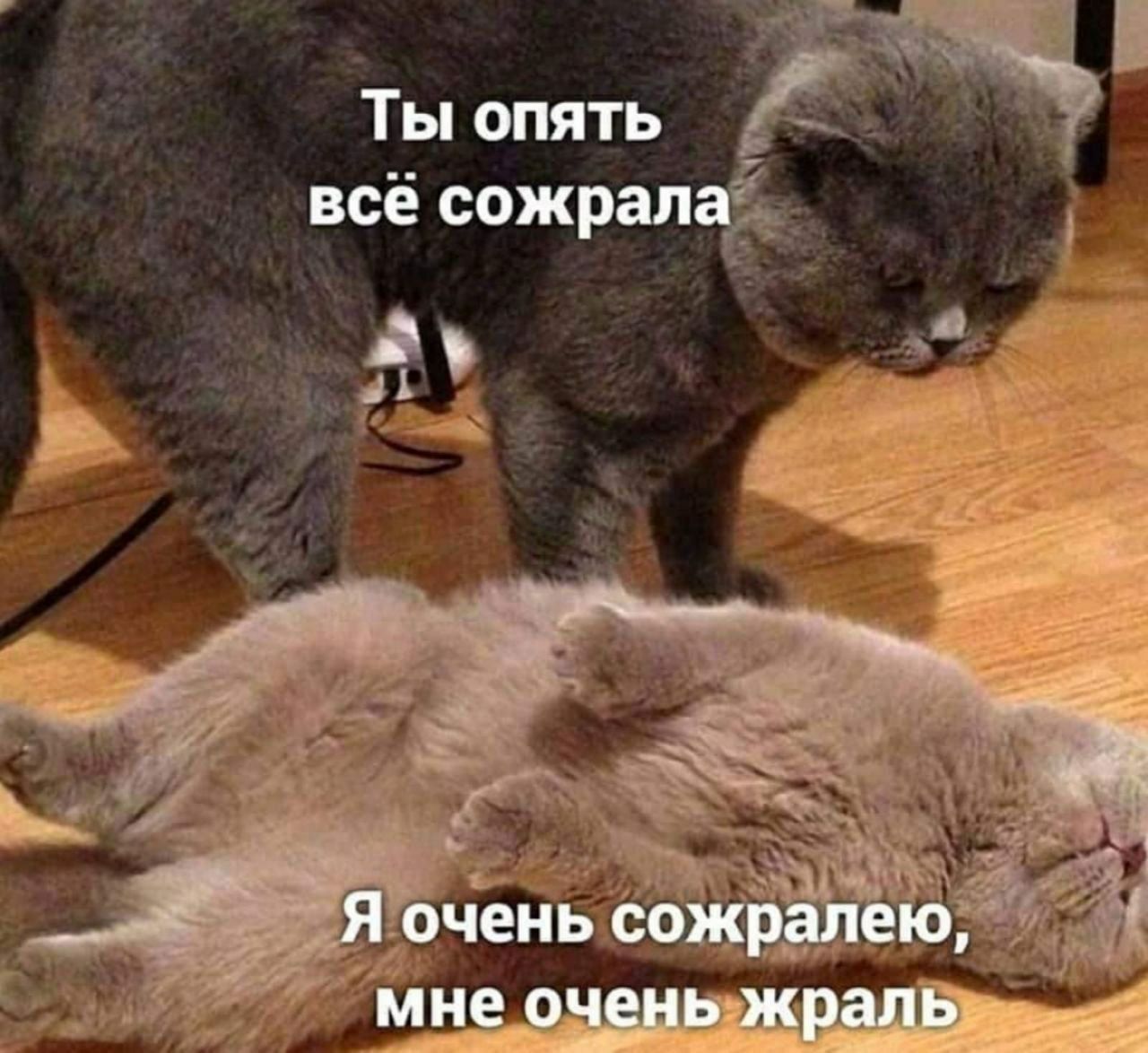 Ты опять