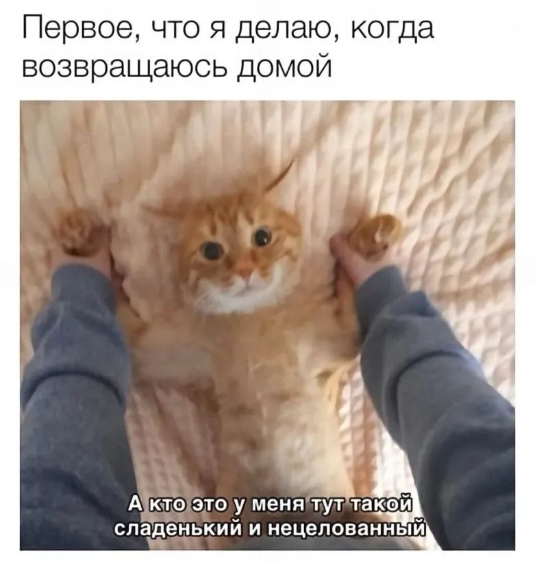 Первое что я делаю когда возвращаюсь домой А кто это у меня тут такой сладенький и нецепованный