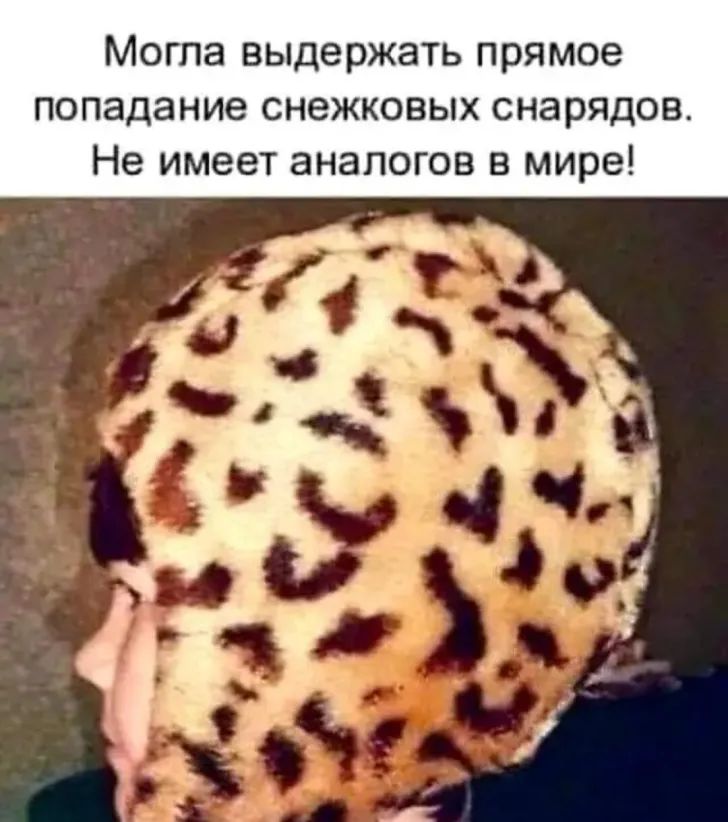 Могла выдержать прямое попадание снежковых снарядов Не имеет аналогов в мире
