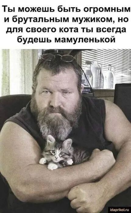 Ты можешь быть огромным и брутальным мужиком но для своего кота ты всегда будешь мамуленькой