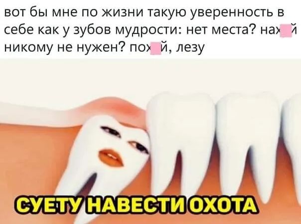 вот бы мне по жизни такую уверенность в себе как у зубов мудрости нет места на И никому не нужен по й лезу СУЕТУ НАВЕСТИ ОХОТА
