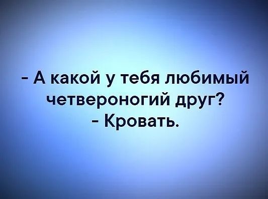 Г А какои у тебя любимый четвероногий друг Кровать