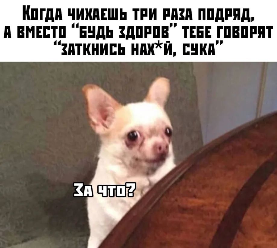 Кпгдп чишшь тии иш ппдпяд п вмшп нидь дпппц тии гпвппят иткнипь нпии пнкя