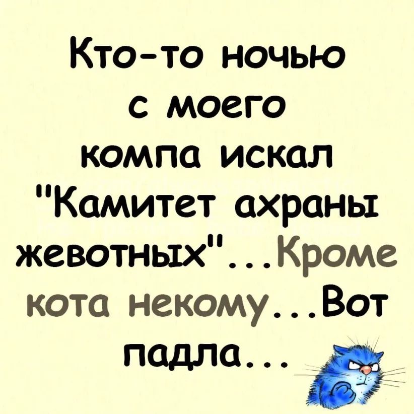 Кто то ночью с моего компа искал Комитет охраны жевотнЫХ Кроме кота некоМУ _Вот подле а
