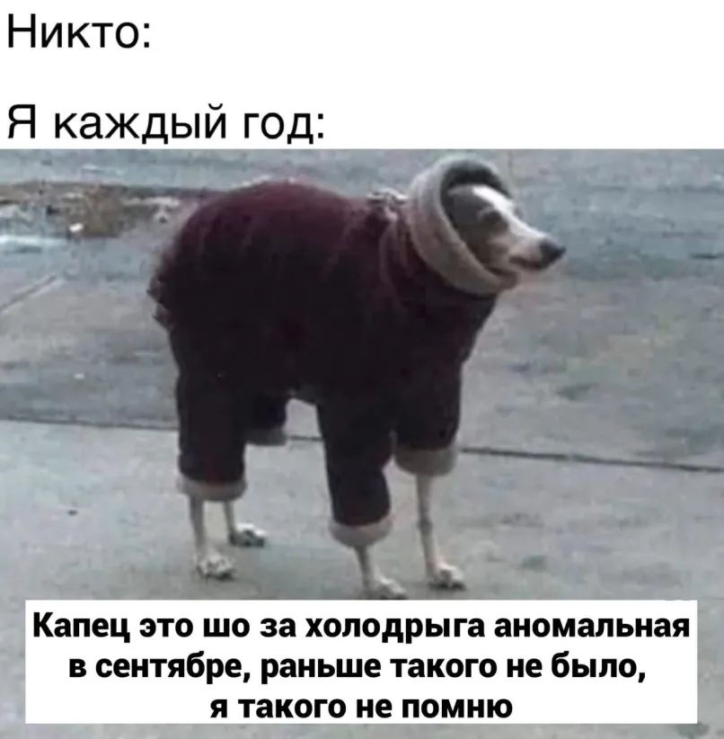 Никто Я каждый год Капец ЭТО шо за ХОЛОДРЫ га аномальная В сентябре раньше такого не было Я такого не ПОМНЮ