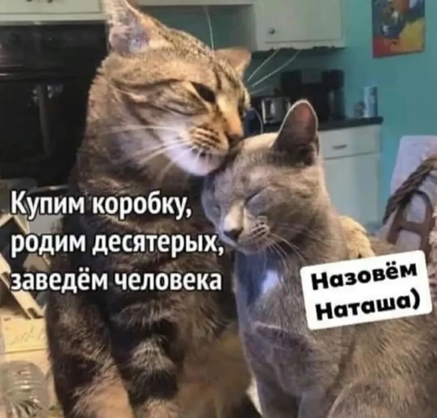 б уп мкоро ку родим десятерых Ёзаведём человека