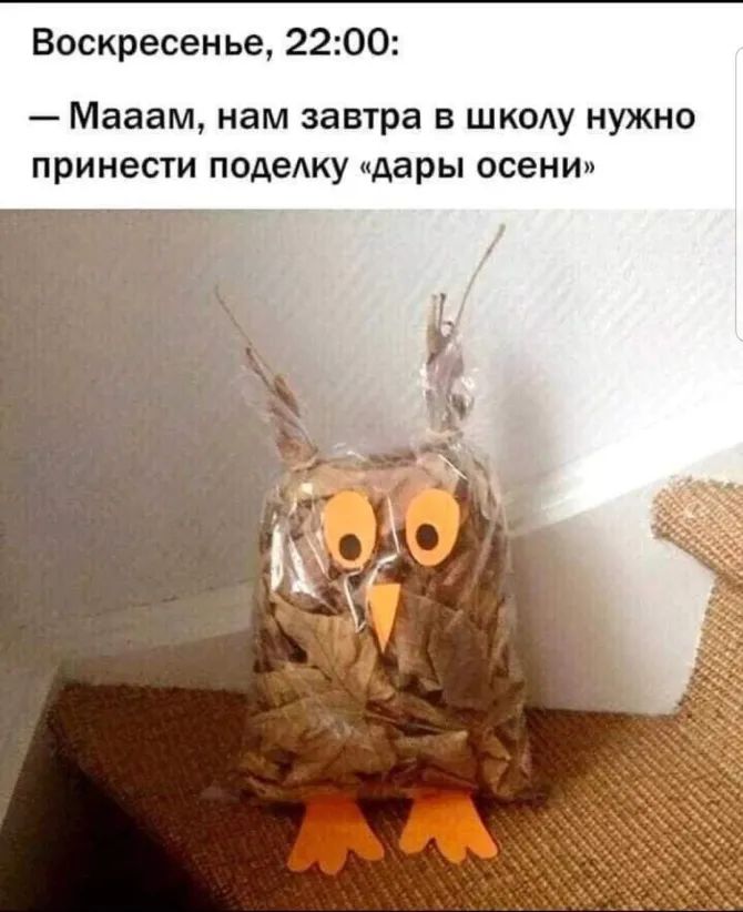 Воскресенье 2200 Мааам нам завтра в шк0Ау нужно принести подеАку дары осени