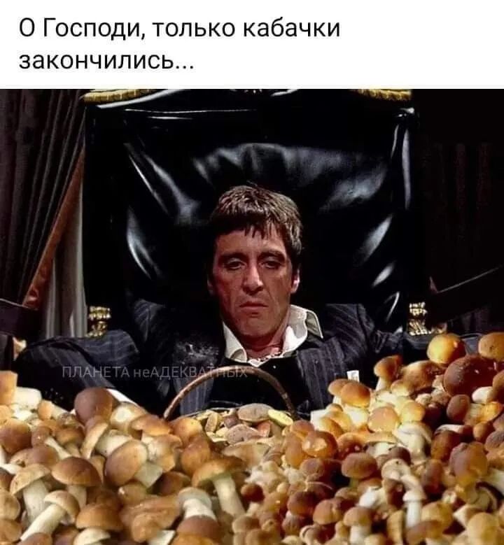И К Ч 8 б а К О К Ь Л О Т И д 0 П О Ь С И Л И Ч Н О К а 3