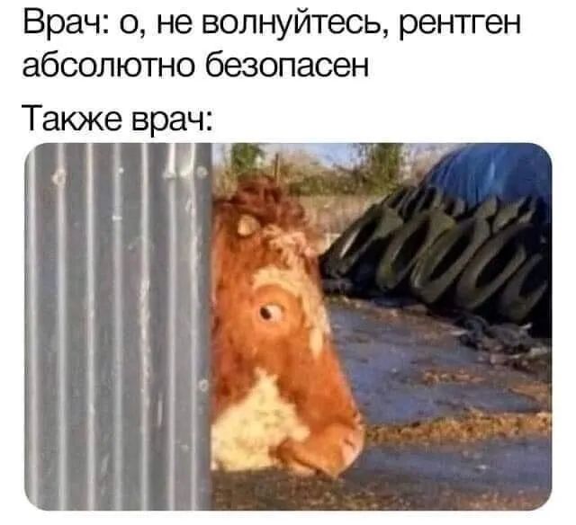 Врач о не волнуйтесь рентген абсолютно безопасен Также врач