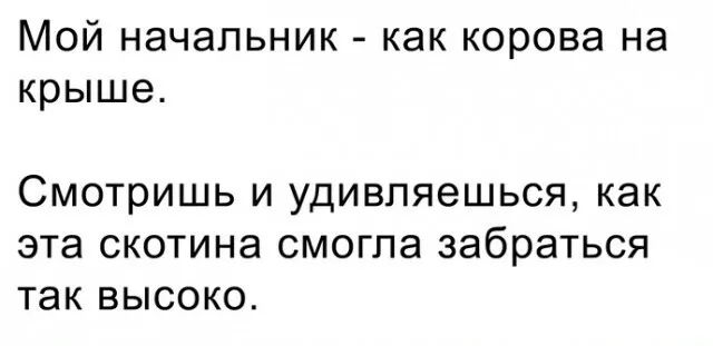 Мой начальник как корова на крыше СМОТрИШЬ И удивляешься как эта СКОТИНЭ СМОГПЭ забраться ТЭК ВЫСОКО
