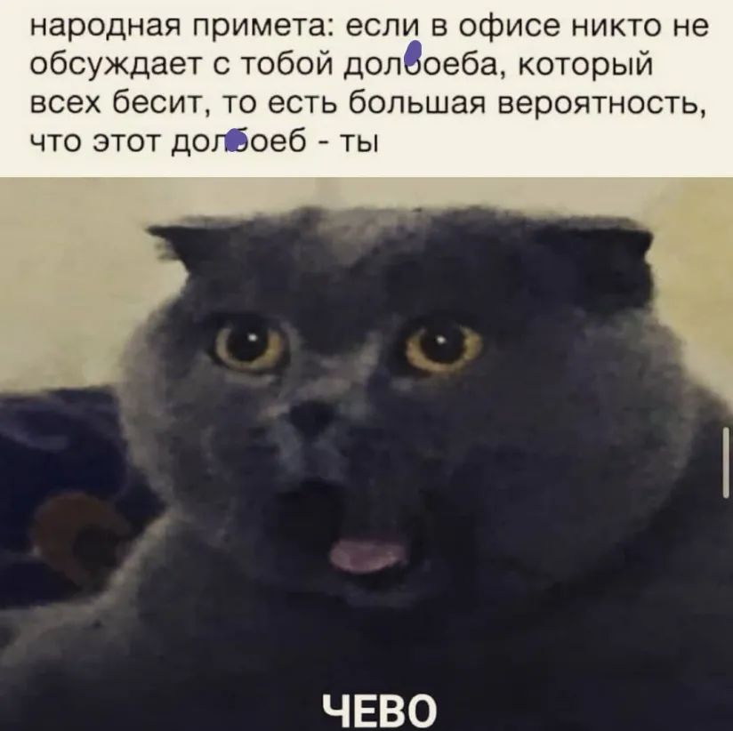 народная примета если в офисе никто не обсуждает с тобой долооеба который всех бесит то есть большая вероятность что этот дол Эоеб ты ЧЕВО