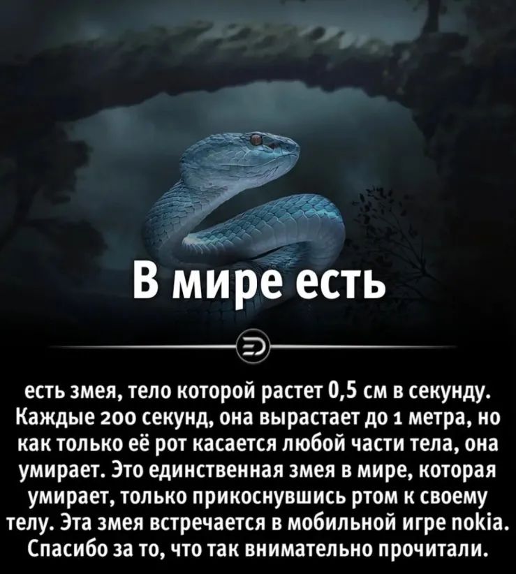 Ае В мирЁ есть тэн есть змея тело которой растет 05 см в секунду Каждые 200 секунд она вырастает до 1 метра но как только её рот касается любой части тела она умирает Это единственная змея в мире которая умирает только прикоснувшись ртом к своему телу Эта змея встречается в мобильной игре поКіа Спасибо за то что так внимательно прочитали