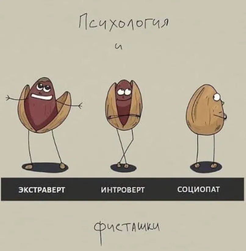 ЭКПРАВЕРТ ИНТРОВЕРТ СОЦИОПАТ СЁИСГАЩШ