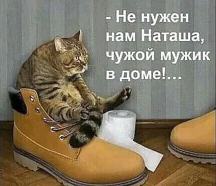 не нужен  нам наташа,