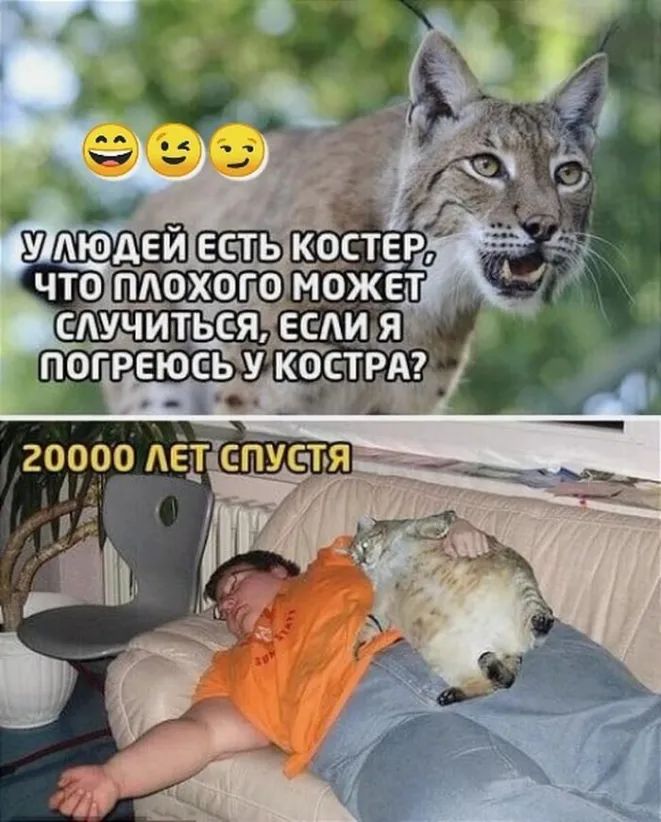 211990 АЁЁЕЪ