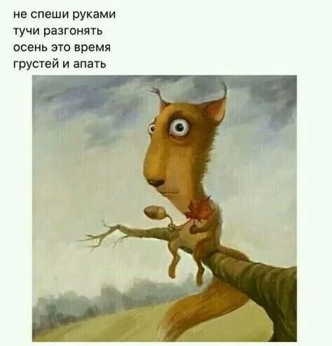 не спеши руками тучи разгонять осень это время грушей и апать