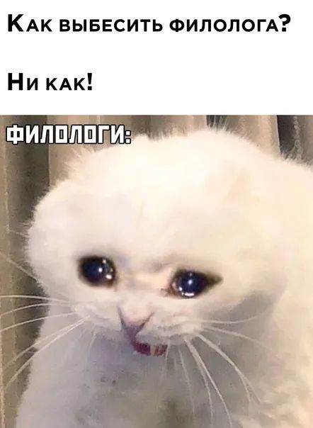 КАквьшвситьфилолопп НИКАД