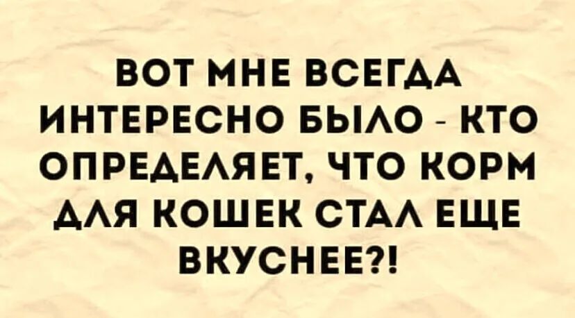 ВОТ МНЕ ВСЕГДА ИНТЕРЕСНО БЫАО КТО ОПРЕАЕАЯЕТ ЧТО КОРМ ААЯ КОШЕК СТАА ЕЩЕ ВКУСНЕЕ