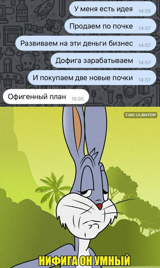 У меня есть идея Продаем по почке Развиваем на эти деньги бизнес Дофига зарабатываем И покупаем Две новые ПОЧКИ Офигенный план т МЕ иивА Тая