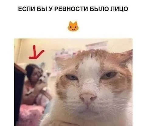 ЕСЛИ БЫ У РЕВНОСТИ БЫЛО ЛИЦО