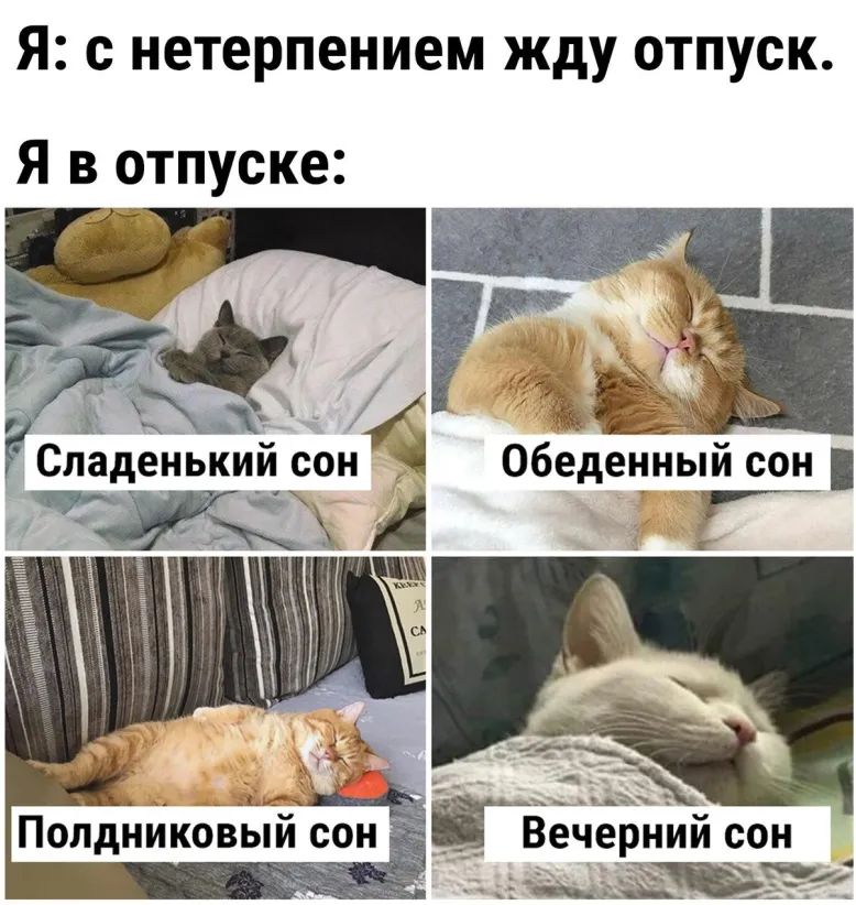 Я С нетерпением Жду ОТПУСК _ Сладенький сон Обедецнь сон и Г