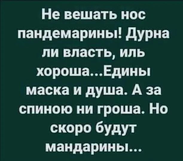 Не вешать нос пандемарины дурна ли впасть иль хорошаЕдины маска и душа А за спиною ни гроша Но скоро будут мандарины