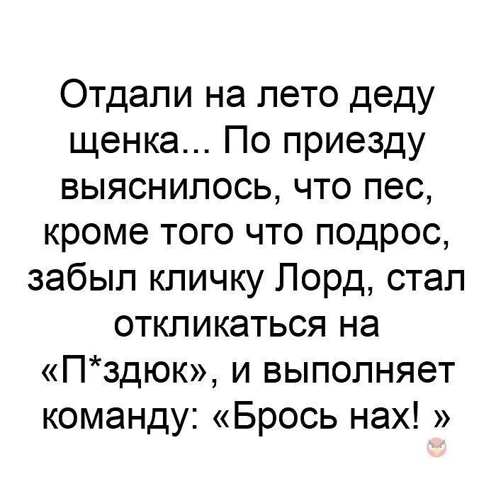 Отдали на лето деду щенка По приезду выяснилось что пес кроме того что подрос забыл кличку Лорд стал откликаться на Пздюк и выполняет команду Брось нах