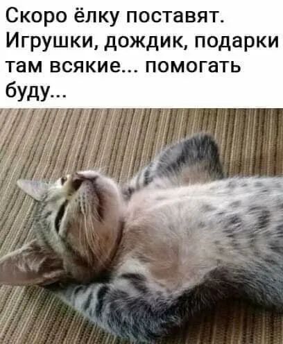 Скоро ёлку поставят Игрушки дождик подарки там всякие помогать