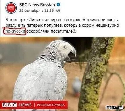 ввс кпэыап сектбрл в в в зовпарке Линкольншира на востоке Англии пришлось валун ь п врых пппугзев хитрые хором нецензурно испортили постителей