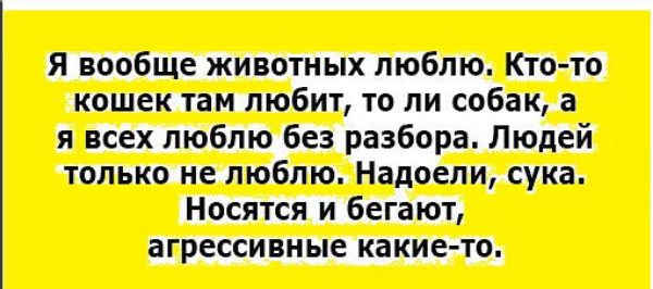 Я вообще животных люблю Ктото кошек там любит то ли собак а я всех люблю без разбора Людей только не люблю Надоели сука Носятся и бегают агрессивные какие то