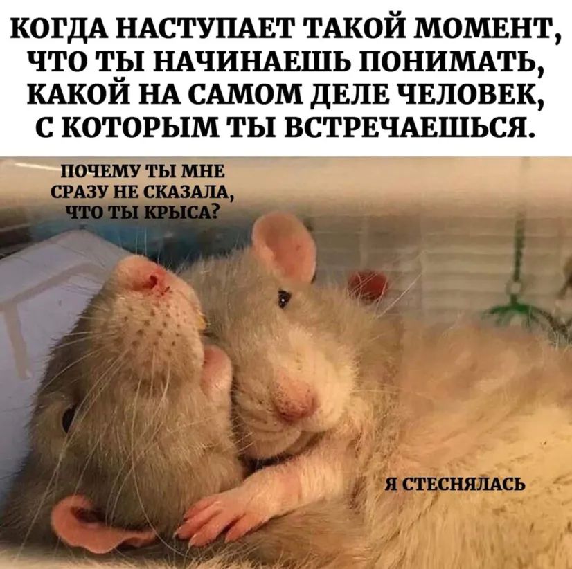 КОГДА НАСТУПАЕТ ТАКОЙ МОМЕНТ ЧТО ТЫ НАЧИНАЕШЬ ПОНИМАТЬ КАКОЙ НА САМОМ ДЕЛЕ ЧЕЛОВЕК С КОТОРЫМ ТЫ ВСТРЕЧАЕШЬСЯ