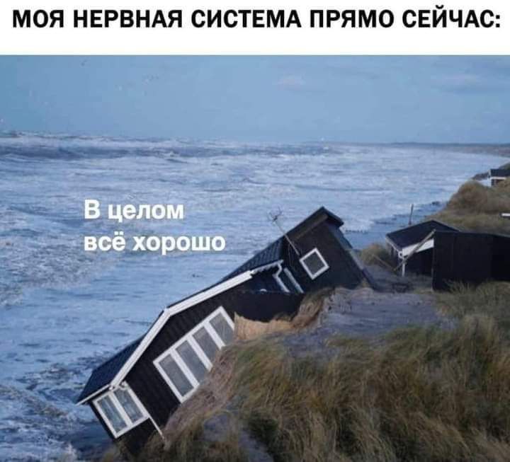 МОЯ НЕРВНАЯ СИСТЕМА ПРЯМО СЕЙЧАС