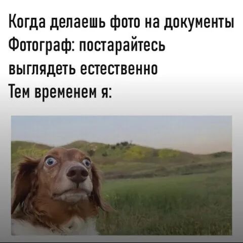 Когда делаешь фото на документы Фотограф постарайтесь выглядеть естественно Тем временем я