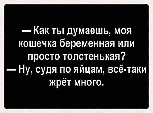 Как ты думаешь моя кошечка беременная или просто топстенькая Ну судя по яйцам всё таки жрёт много
