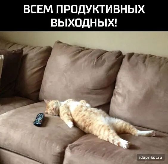 ВСЕМ ПРПДУКТИВНЫХ ВЫХОДНЫХ
