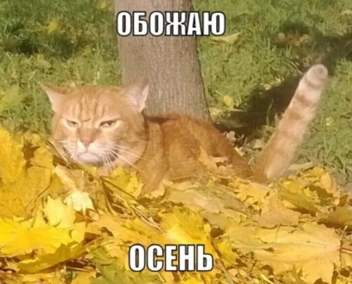 _ Ь _ В Р